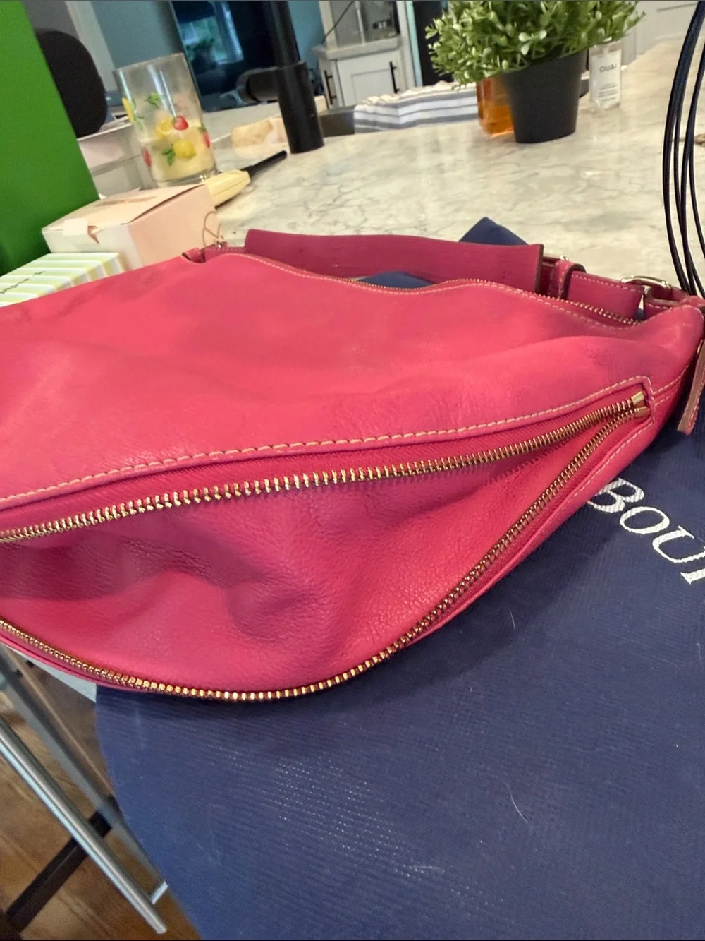 Dooney and Bourke Luna Crescent hobo bag